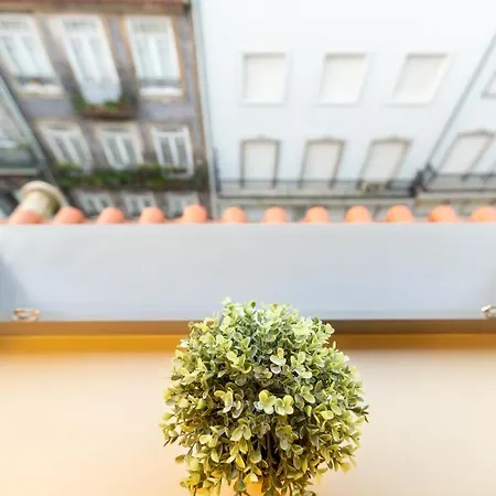 Locally Yours Flores *